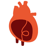 Heart Treatment